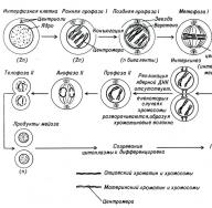 Модульное обучение на уроках биологии